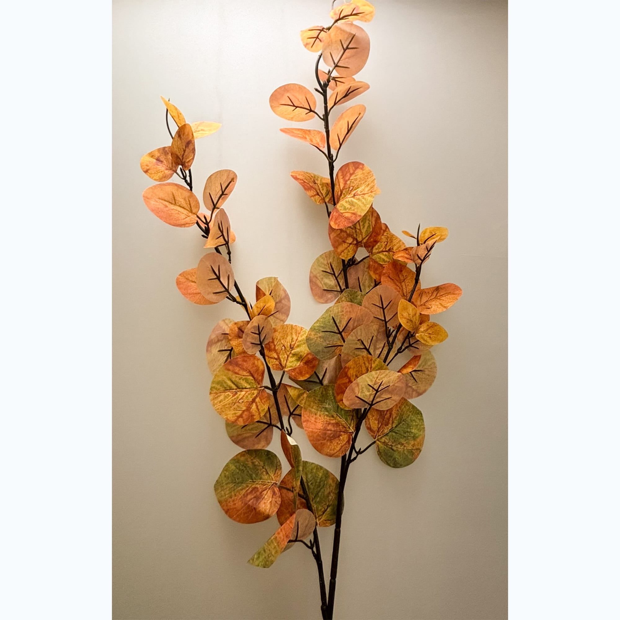 Autumn Eucalyptus Stem