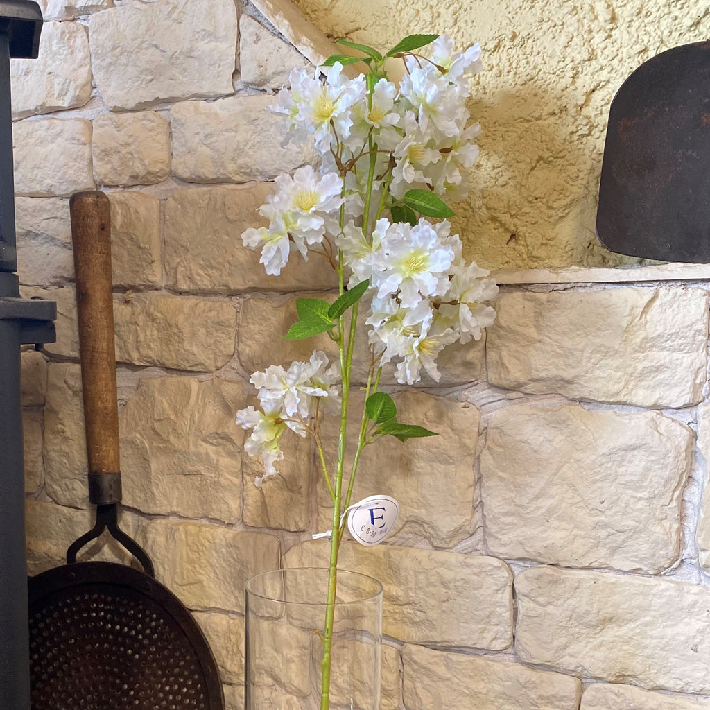 Apple Tree Blossom White