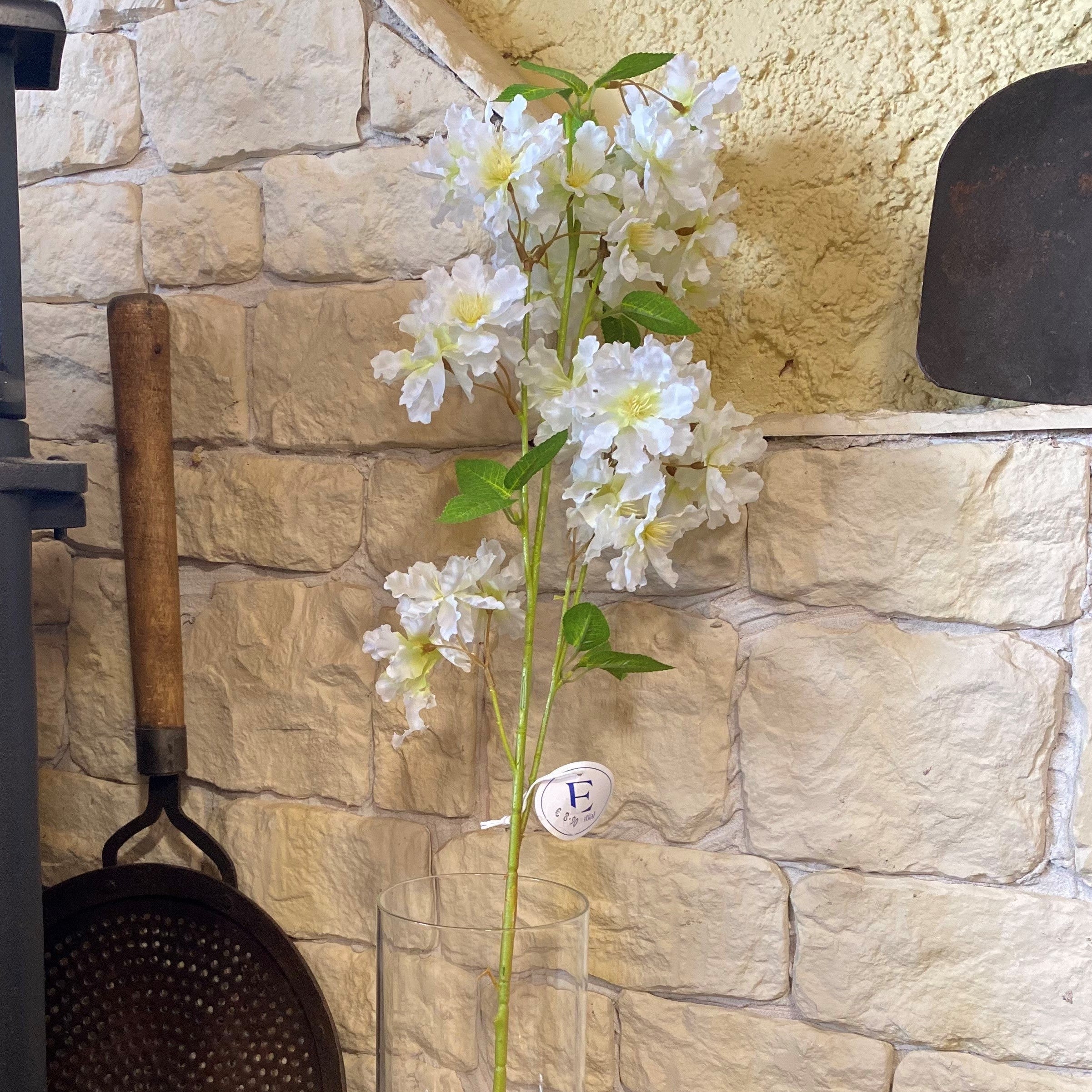Apple Tree Blossom White