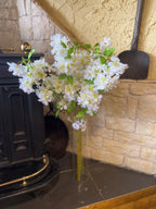 Apple Tree Blossom White