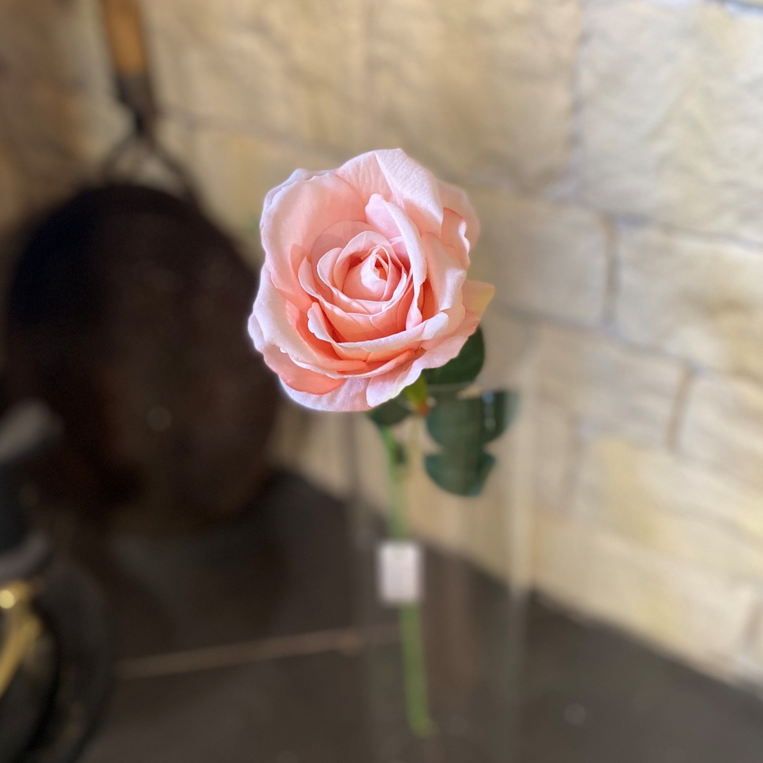 Globe Rose Light pink