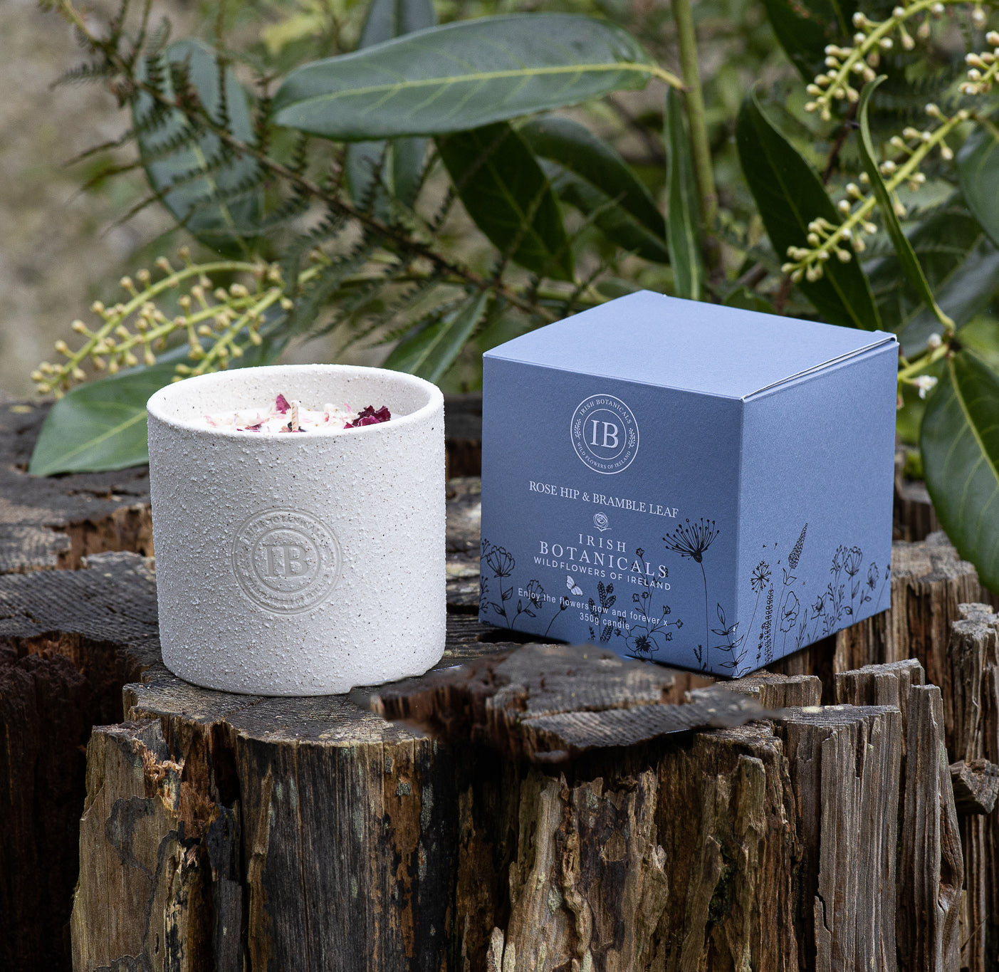 Rosehip & Brambleaf Ceramic Candle