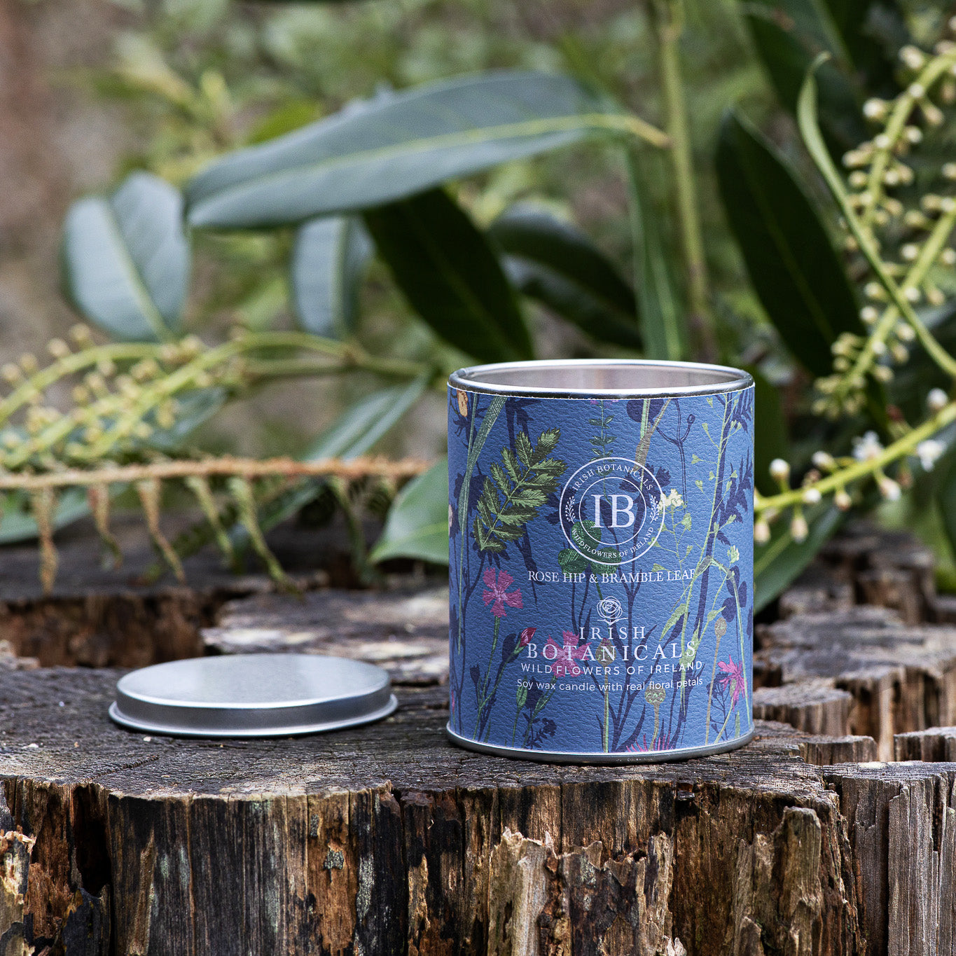 Rosehip & Brambleaf Tin Candle