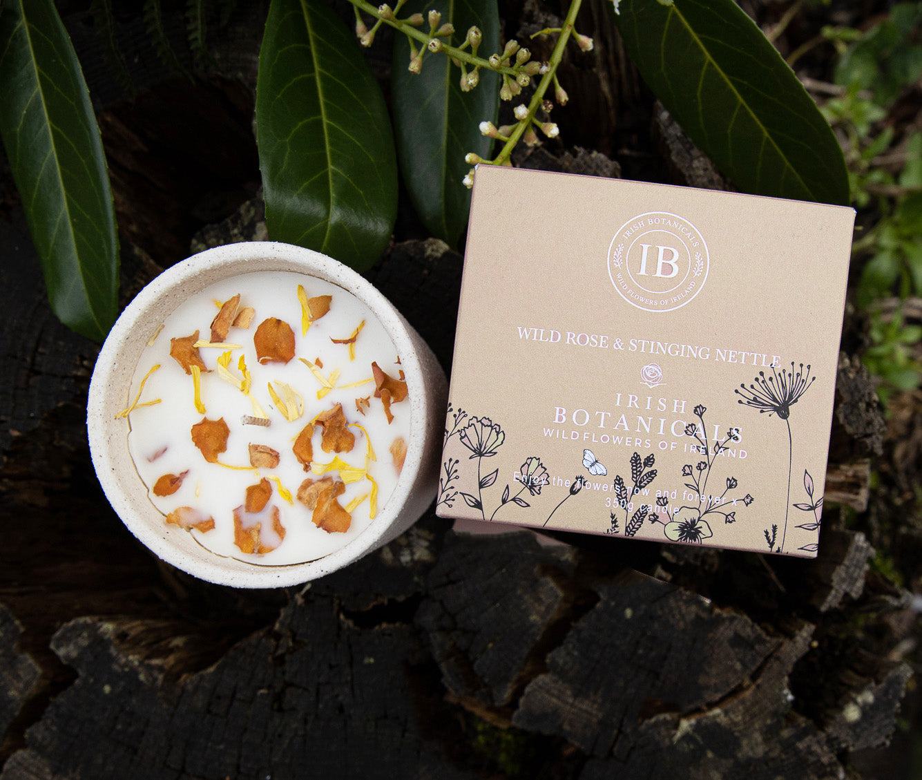 Wild Rose & Stingig Nettle Ceramic Candle