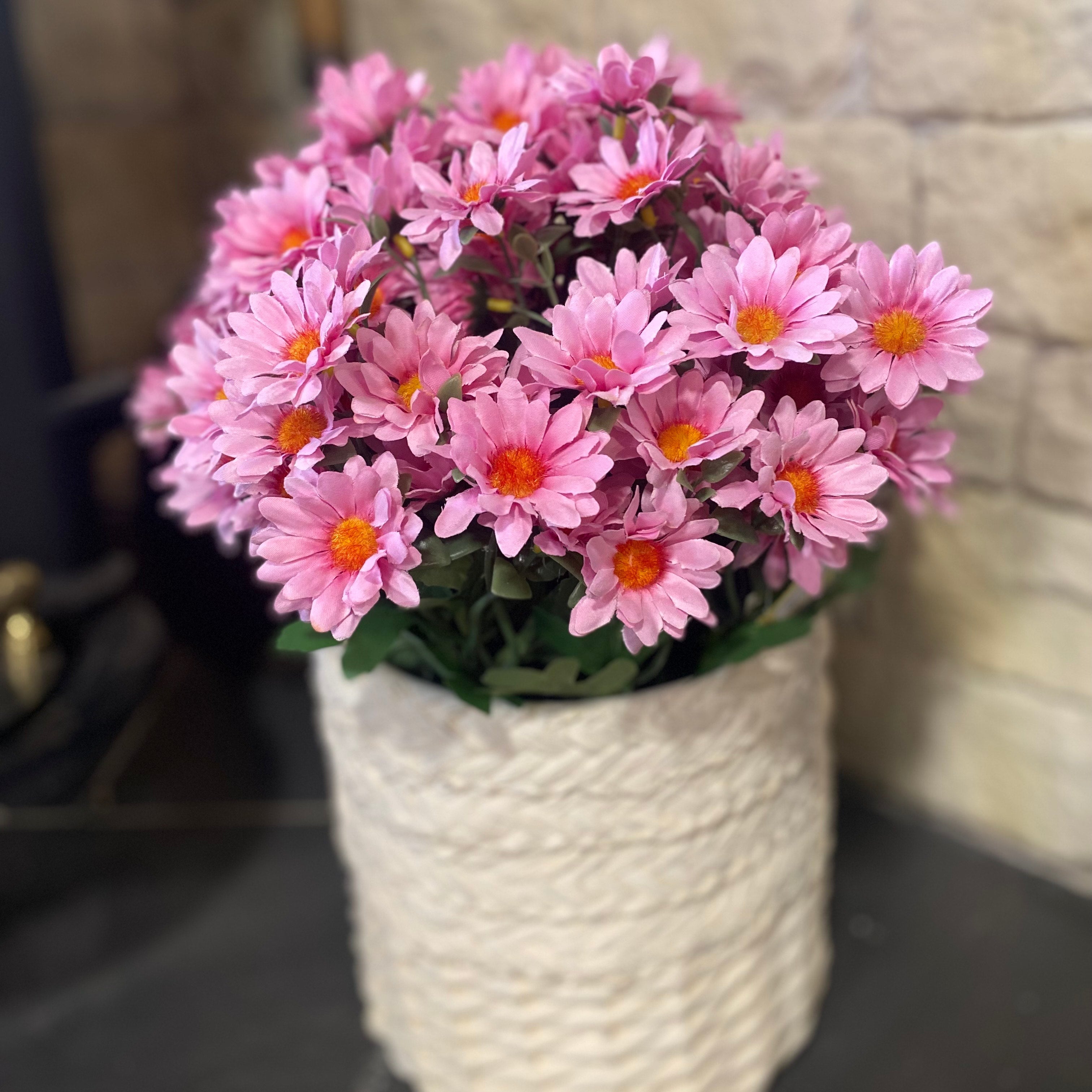 Chrysanthemum Pot Pink