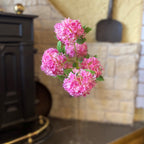 Snowball Viburnum Dark Pink