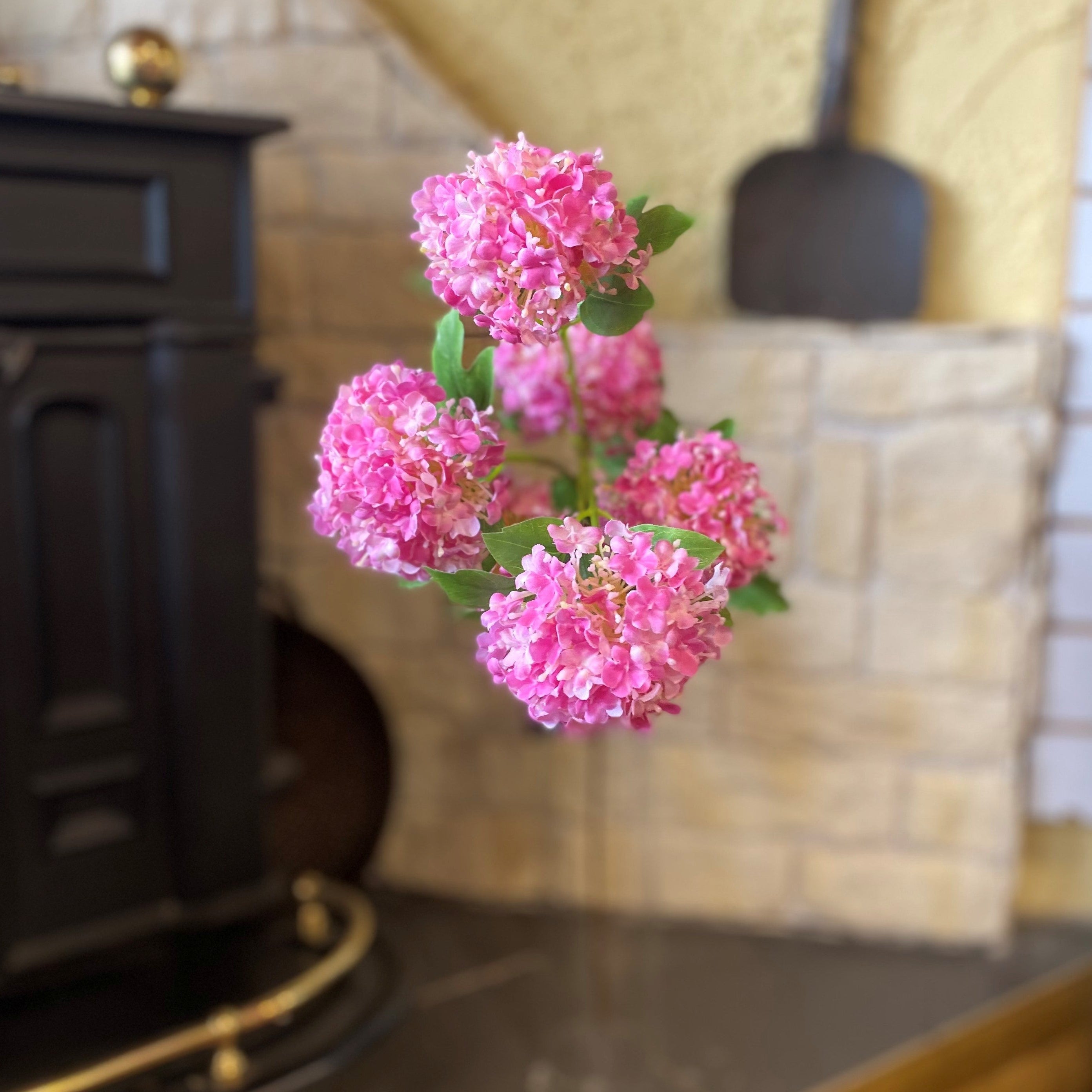 Snowball Viburnum Dark Pink