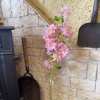 Apple Tree Blossom Light Pink