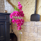 Apple Tree Blossom Dark Pink