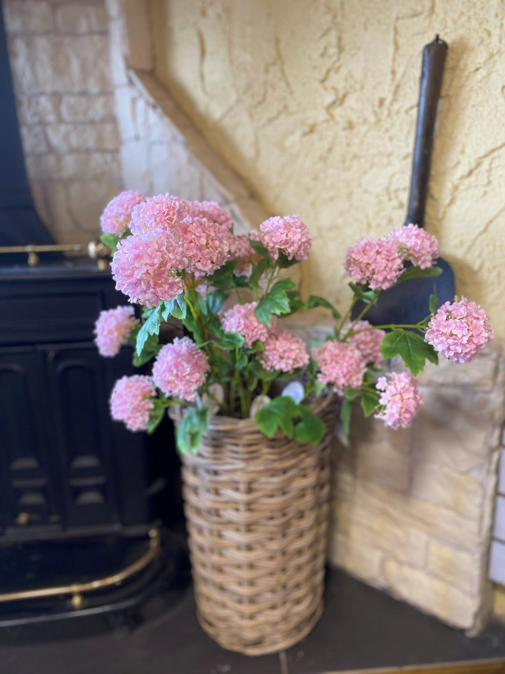 Snowball Viburnum Light Pink