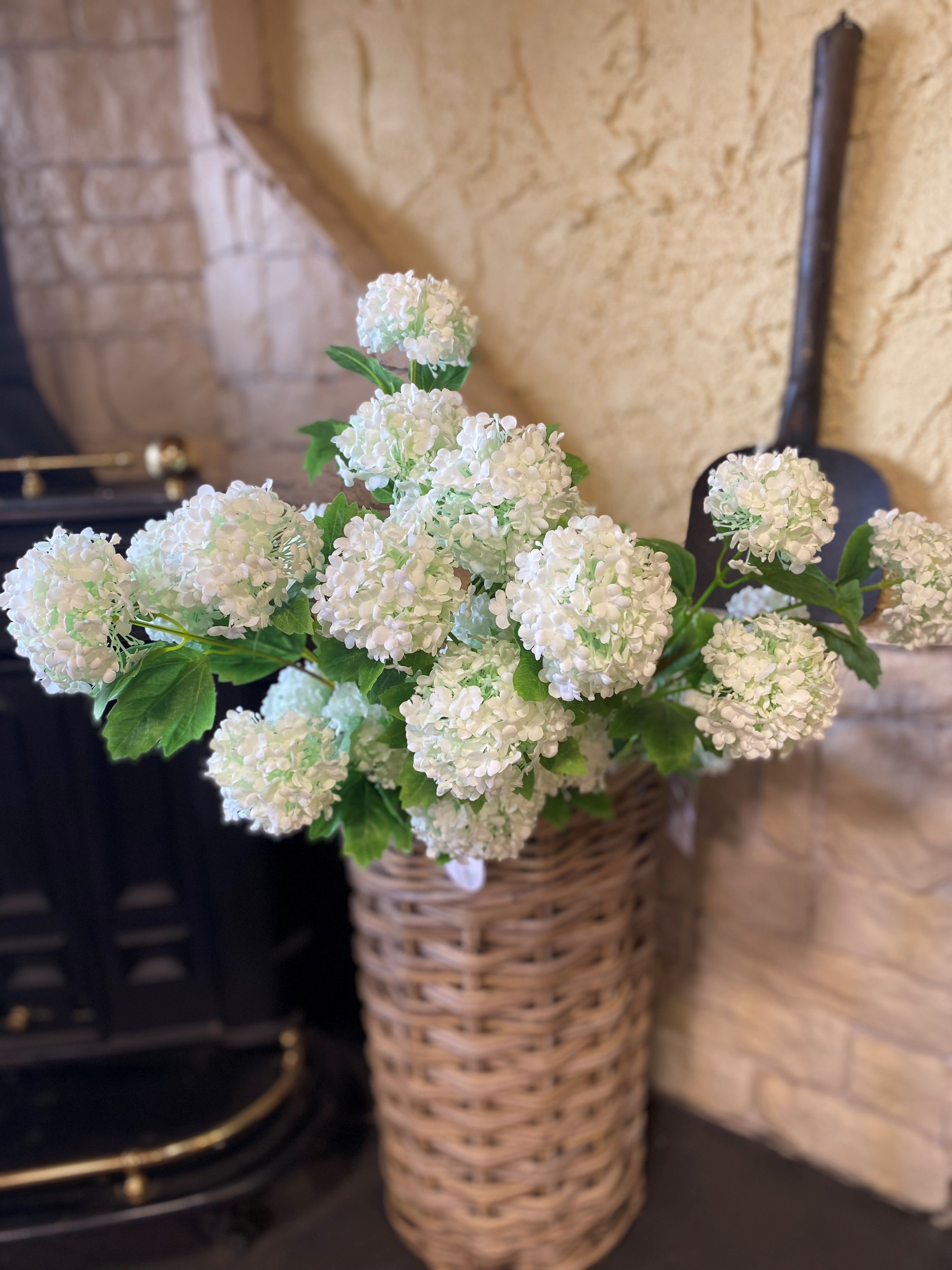 Snowball Viburum Cream